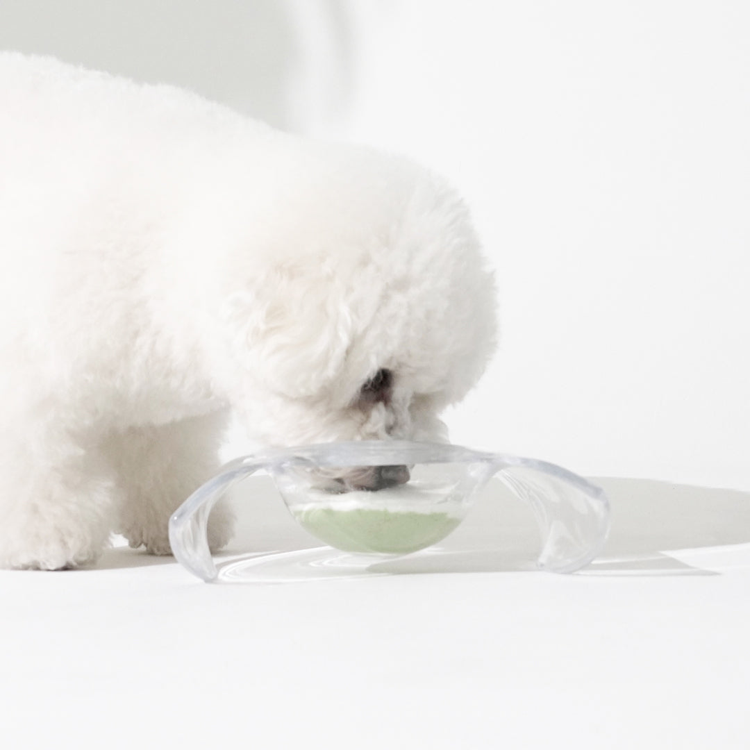 【MIMI7】LOUANGE TOKYOが贈る、 愛犬家のためのペットスイーツの年間お届け便(全12回)